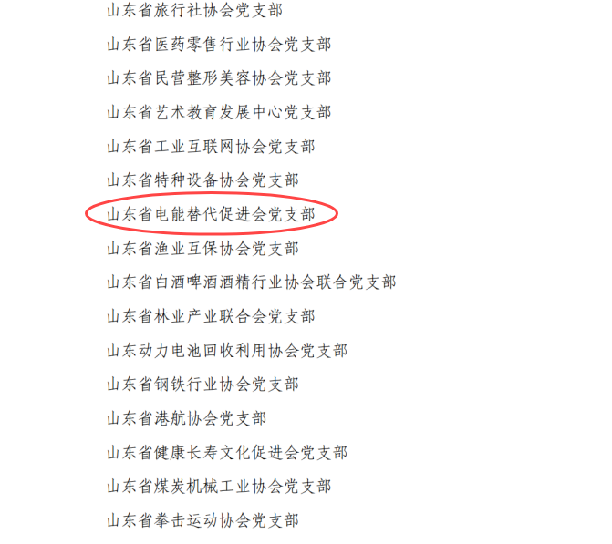 山东省电能替代促进会党支部获评“四星级”党支部！