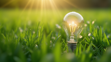 用电量数据显示中国经济结构向优、动能向新，建成全球规模最大的电力基础设施体系