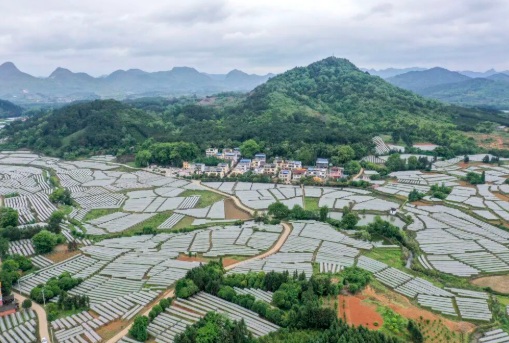 推动“十五五”可再生能源扩量提质、可靠替代